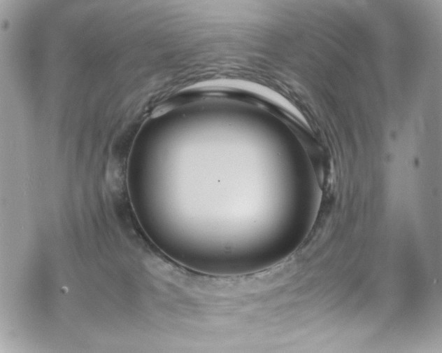 X0000070370037200606161328