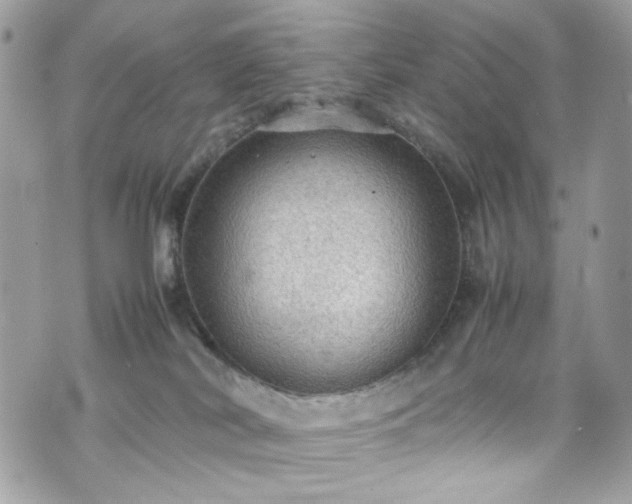 X0000070370038200606161328