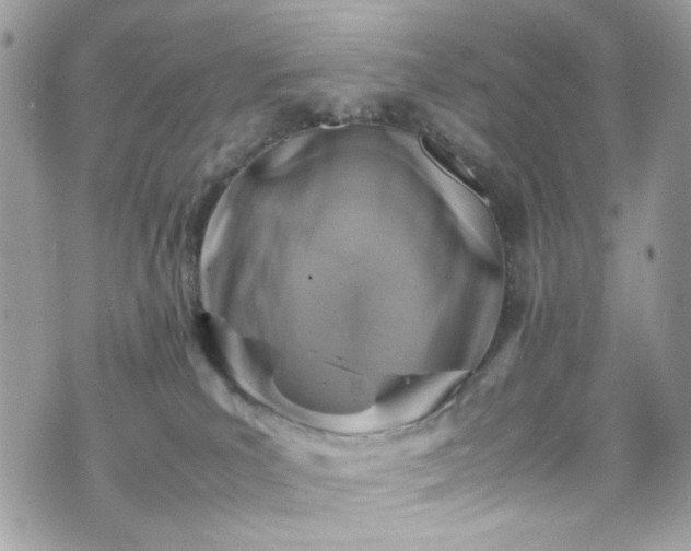 X0000070370039200606161328