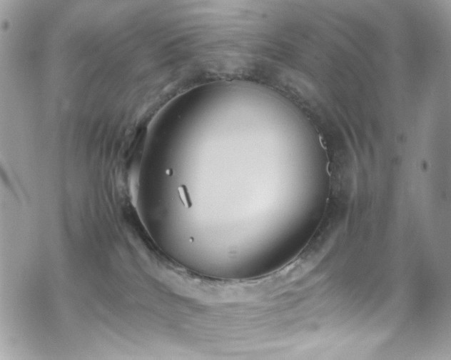 X0000070370040200606161328