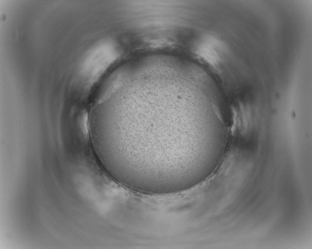 X0000070370041200606161328