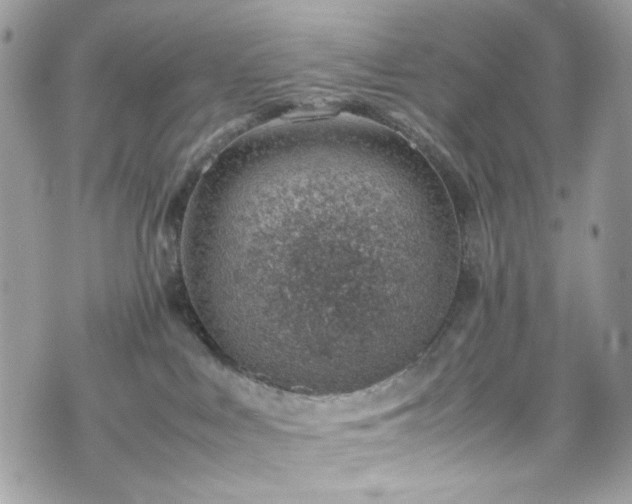 X0000070370043200606161328