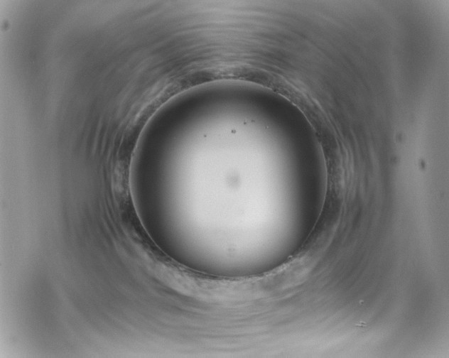 X0000070370044200606161328