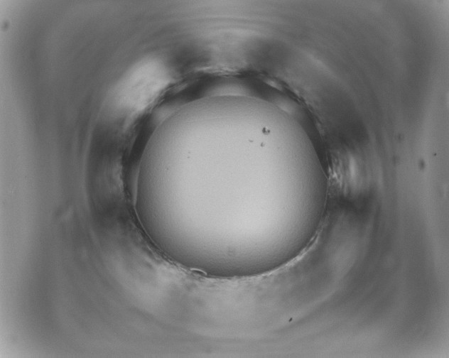 X0000070370045200606161328