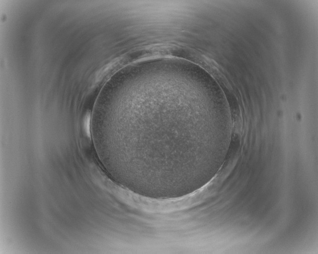 X0000070370047200606161328