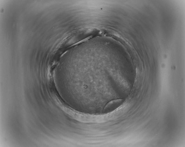 X0000070370048200606161328