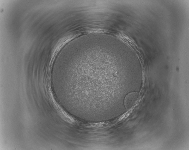 X0000070370049200606161327