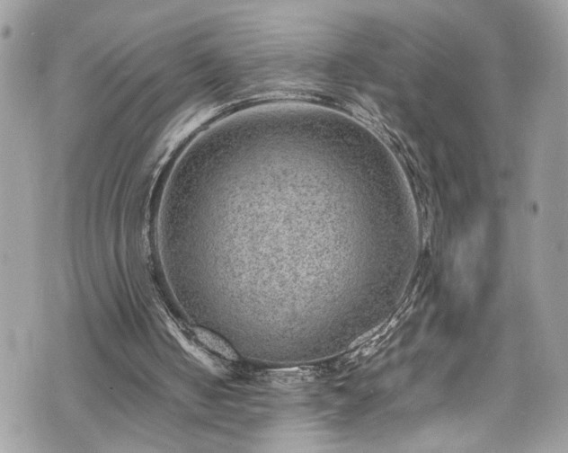 X0000070370050200606161327