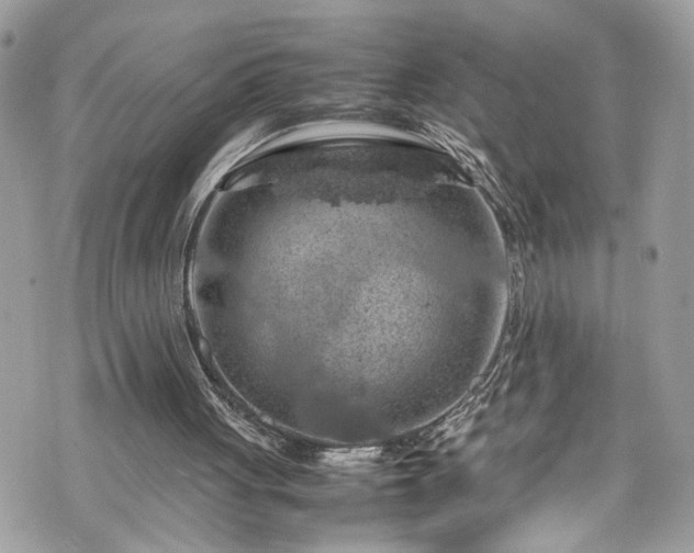 X0000070370051200606161327