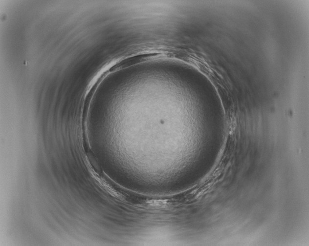 X0000070370052200606161328