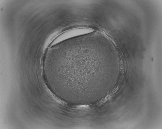 X0000070370053200606161328