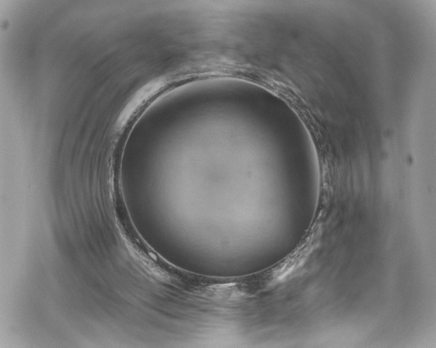 X0000070370054200606161328