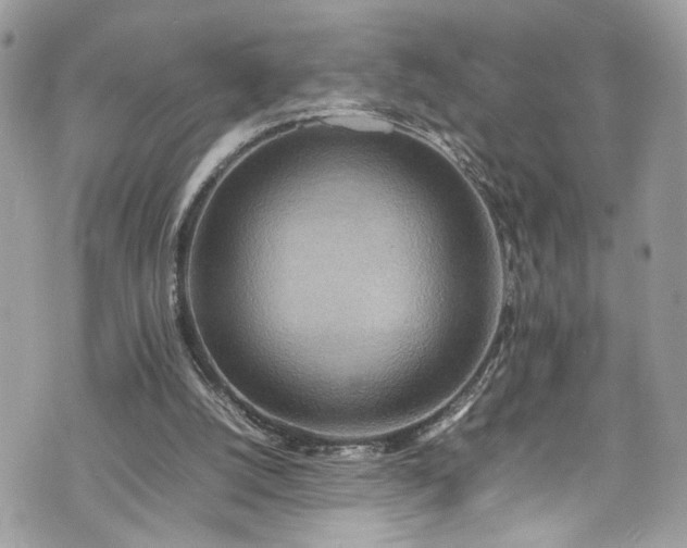 X0000070370056200606161328