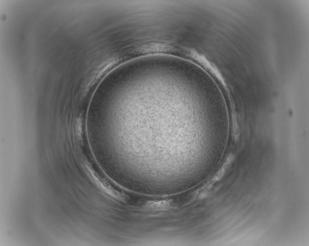 X0000070370057200606161328