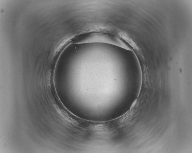 X0000070370058200606161328