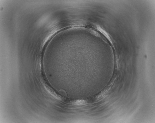 X0000070370059200606161328