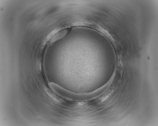 X0000070370060200606161328