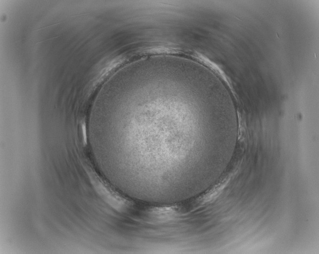 X0000070370061200606161328