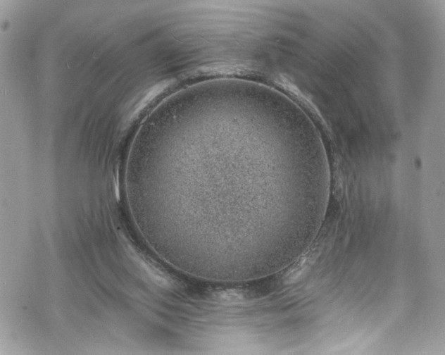 X0000070370062200606161328