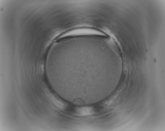 X0000070370063200606161328