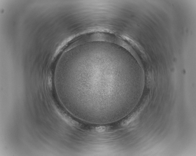 X0000070370064200606161328