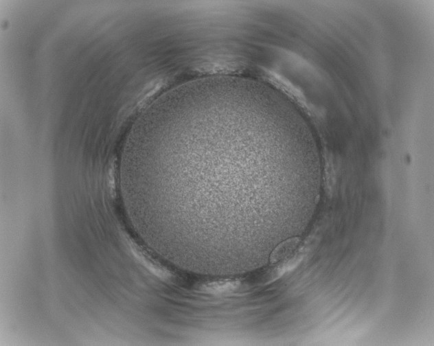 X0000070370065200606161328