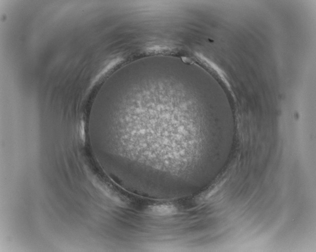 X0000070370067200606161328