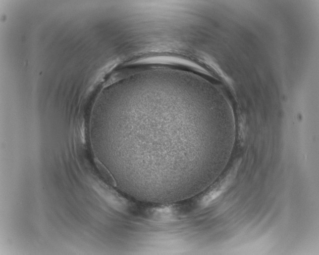 X0000070370068200606161328