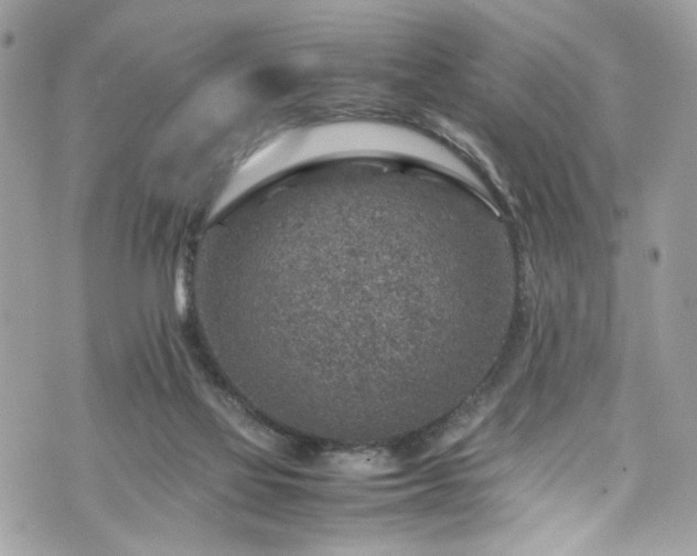 X0000070370069200606161328