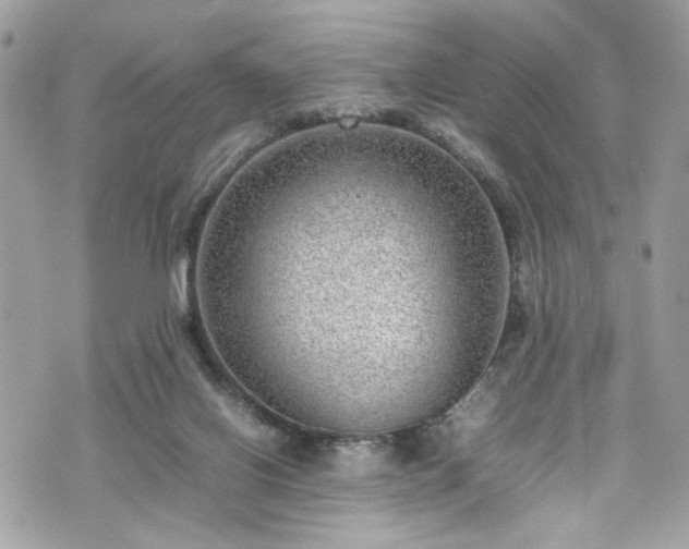 X0000070370070200606161328