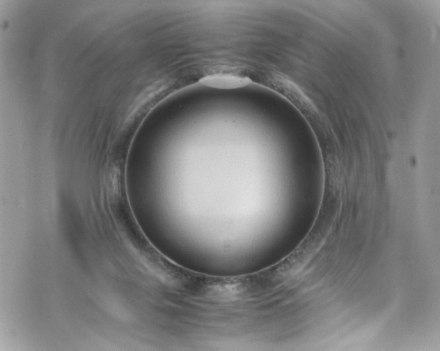 X0000070370071200606161328