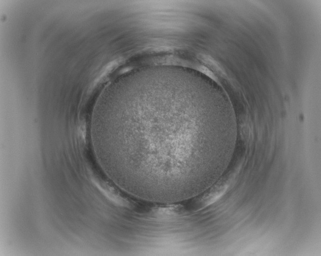 X0000070370072200606161328