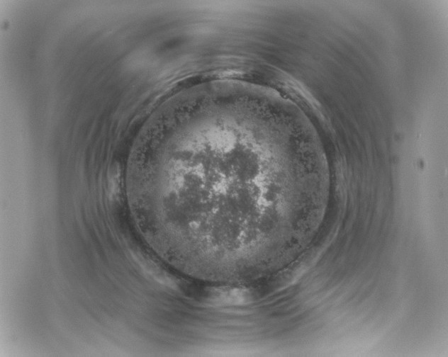 X0000070370073200606161328