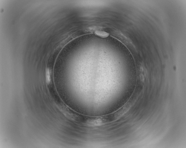 X0000070370075200606161328