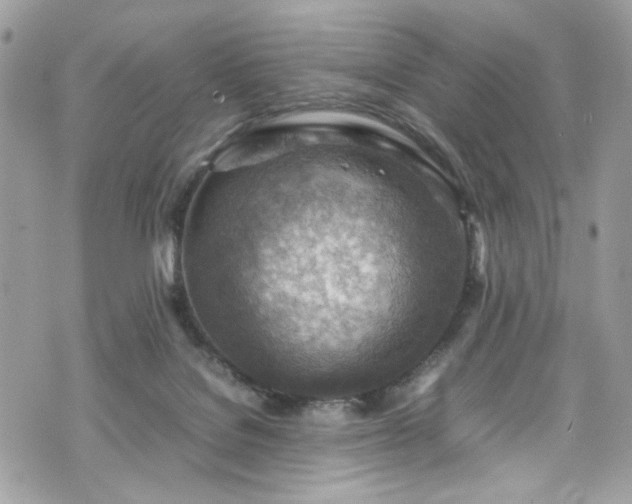 X0000070370076200606161328