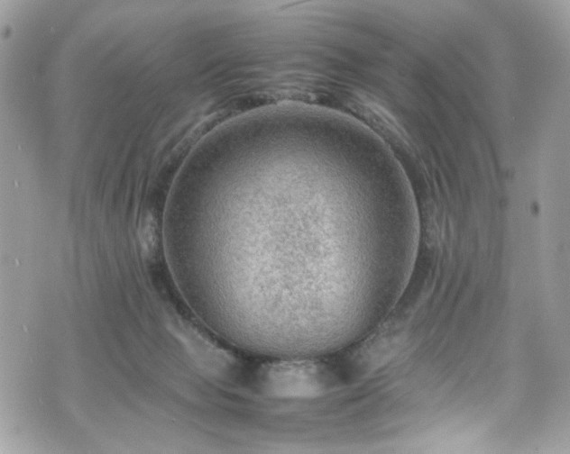 X0000070370077200606161328