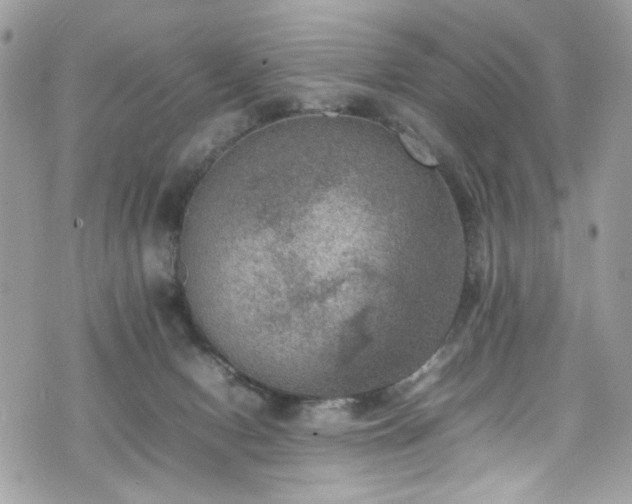 X0000070370078200606161328