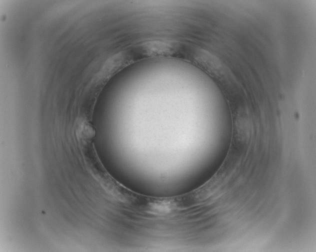 X0000070370079200606161328