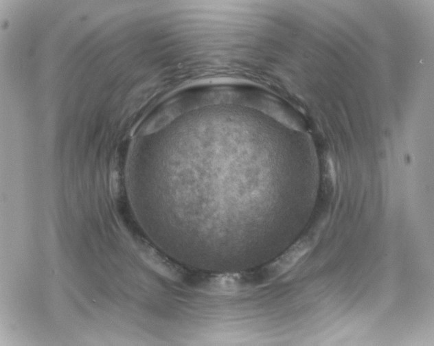 X0000070370080200606161328