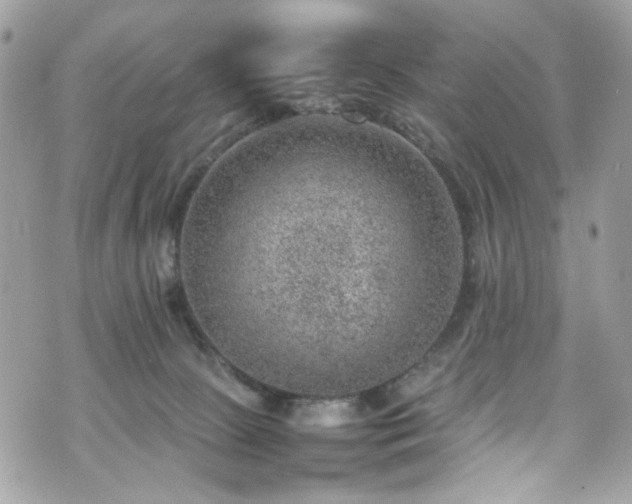 X0000070370081200606161328