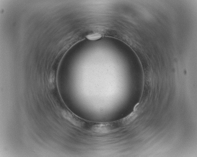 X0000070370082200606161328