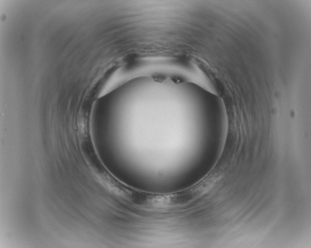 X0000070370084200606161328