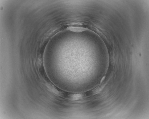 X0000070370085200606161328