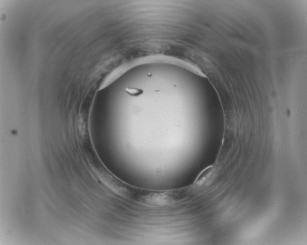 X0000070370086200606161328