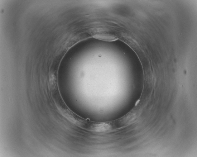 X0000070370087200606161328