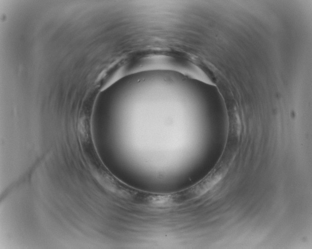 X0000070370088200606161328