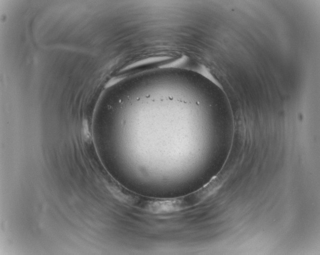 X0000070370089200606161328