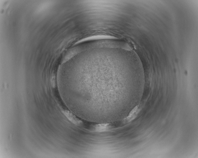 X0000070370090200606161328