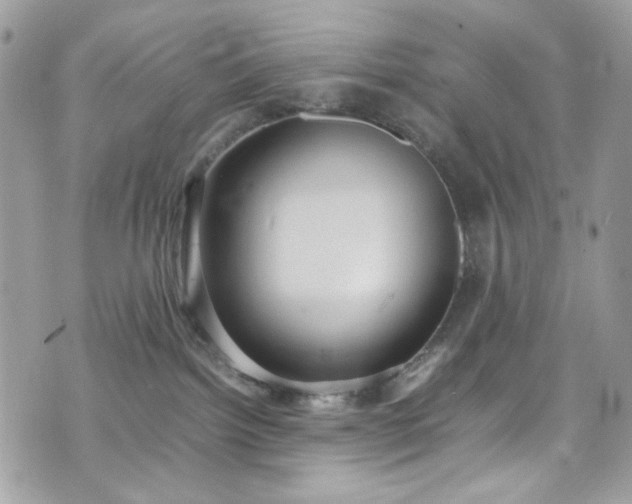 X0000070370092200606161328