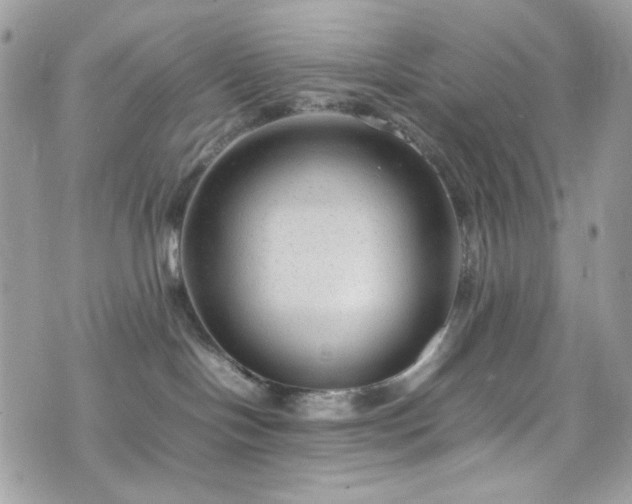 X0000070370094200606161328